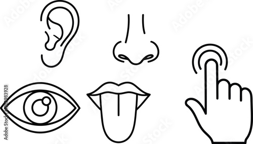 A black and white line art illustration depicting the five human senses on a simple background. Vector