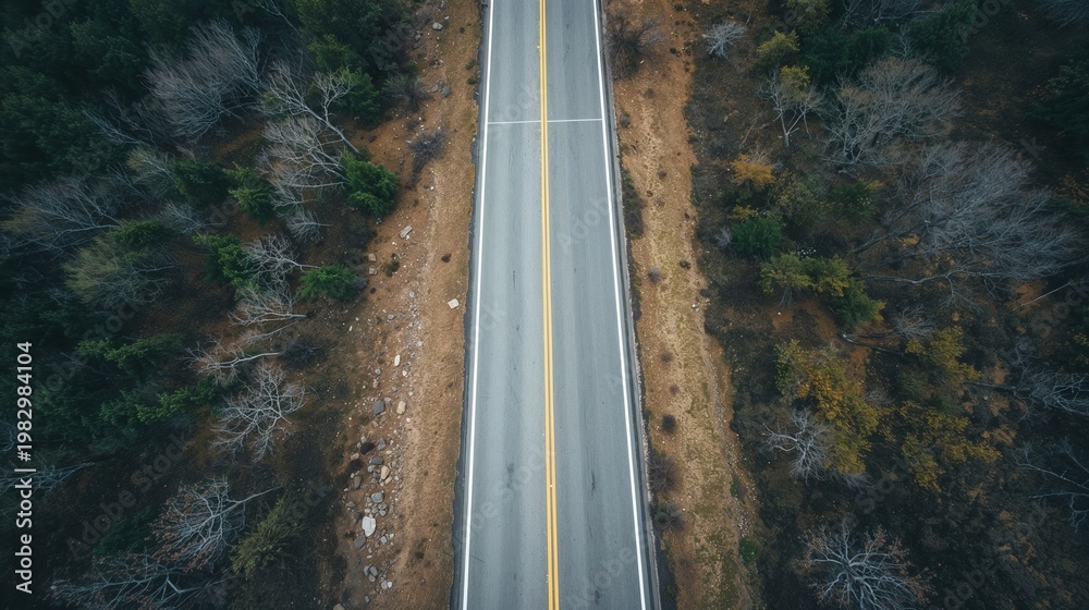 Fototapeta premium Top view of empty road through natural landscape with clean perspective 