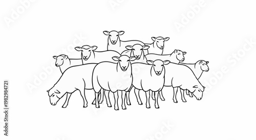 A diverse group of sheep gathered together in a field