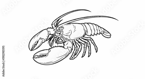 A detailed black and white sketch of a lobster with claws, legs, and antennae