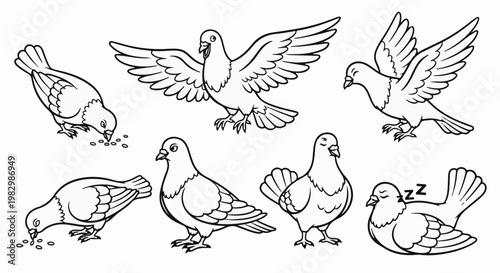 A collection of seven line drawings depicting pigeons in various activities like eating and flying