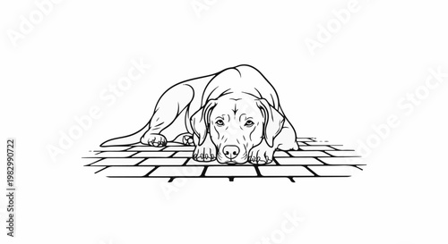 A black and white sketch of a dog resting on cobblestone pavement
