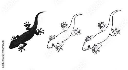 Collection of lizard and gecko silhouettes and line art icons on a white background