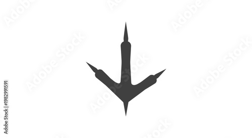 Bird footprint silhouette isolated on white background.