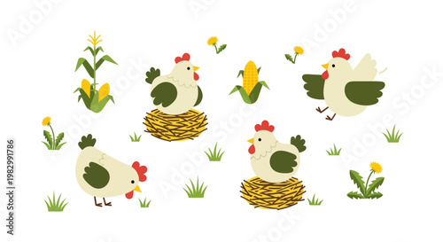 Cute cartoon chickens and corn on a white background, farm illustration