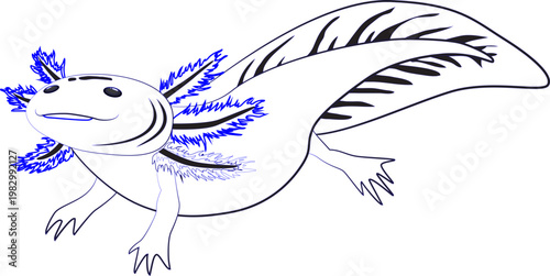  Reptile coloring book design elements black white handdrawn sketch.eps