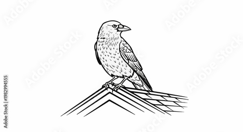 A detailed sketch of a raven perched on a tiled rooftop