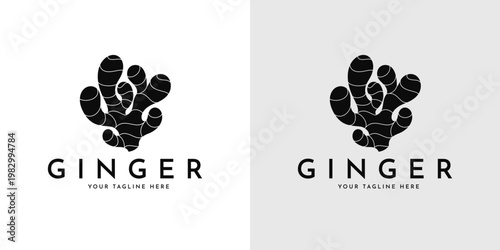 Ginger root logo. Isolated ginger vector 