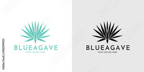 Agave vector. Abstract plant sign. Blue agave logo  