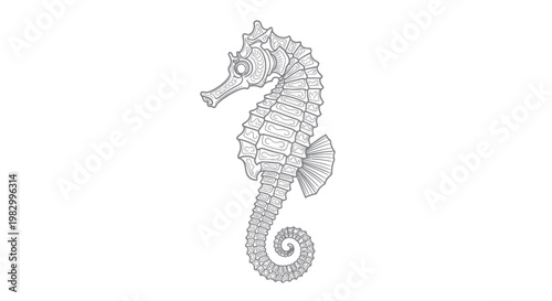 Detailed seahorse line art illustration for coloring book and creative designs.