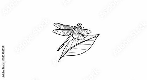 A black and white line drawing of a dragonfly perched on a leaf