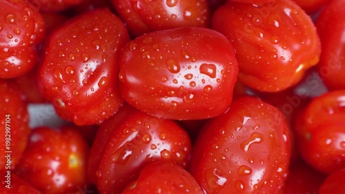 Highresolution Macro Image Of Organic Cherry Tomatoes Sparkling With Moisture And Vivid Red Skin