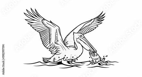 A pelican swoops down, catching a fish in its beak amidst splashing water