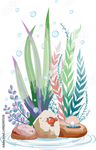 Beautiful underwater flora and fauna.Color vector illustration with beautiful underwater algae and stones on a transparent background.