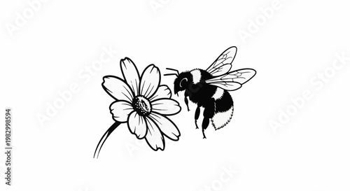 Black and white illustration of a fuzzy bee hovering over a daisy-like flower