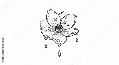 Detailed sketch of a delicate flower with dew drops and falling water