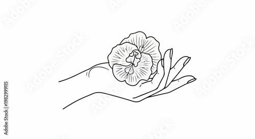 Delicate hand cradles a detailed flower, delicate outline, simple beauty