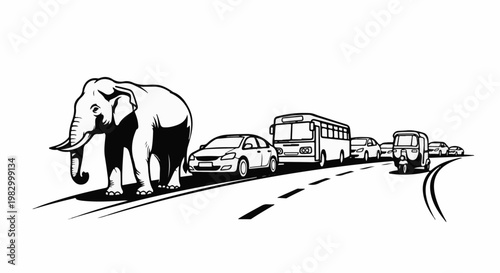 Elephant walks on road with traffic