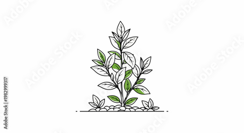 Minimalist illustration of a leafy plant growing from a bed of pebbles