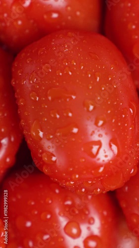 Bright Tomato Showcase. Colorful Presentation Of Naturally Grown Cherry Tomatoes With Dew Drops Shimmering