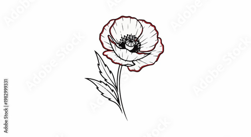 Minimalist line art of a single poppy with red-tinged petals and two leaves