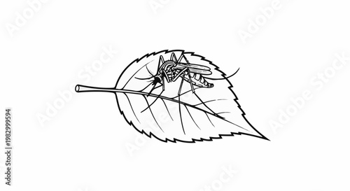 Detailed illustration of a mosquito resting on a serrated leaf