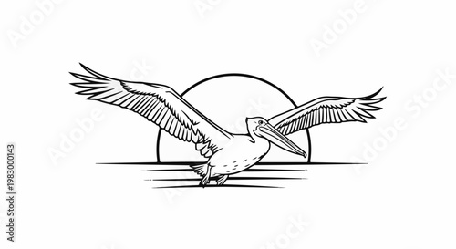 Pelican flying over water with sun in background