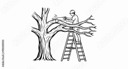 Person trimming branches from a tree while standing on a ladder