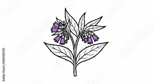 A simple line drawing of a flowering plant with purple bell-shaped blossoms
