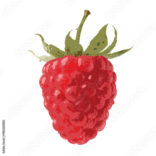 Sweet Raspberry Delight: A vibrant raspberry, bursting with color and freshness, captured in exquisite detail, is a testament to nature's bounty and culinary delight.