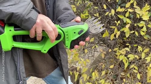 close up of manual hedge trimmer cutting thick bush branches strong precise motion shaping greenery outdoor gardening maintenance landscaping plant care scene
