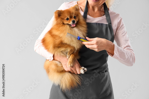 Female groomer taking care ...