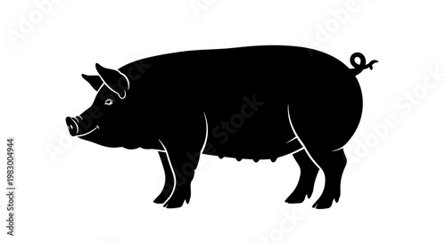 Silhouette of a pig on a white background