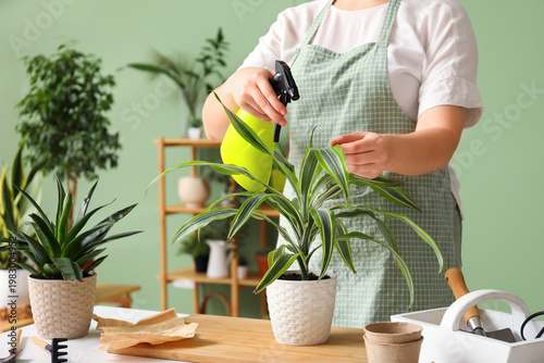 Woman caring for potted hou...