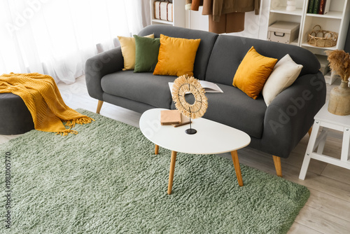 Interior of living room wit...