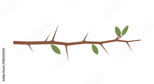 Minimalistic thorny branch with green leaves on white background