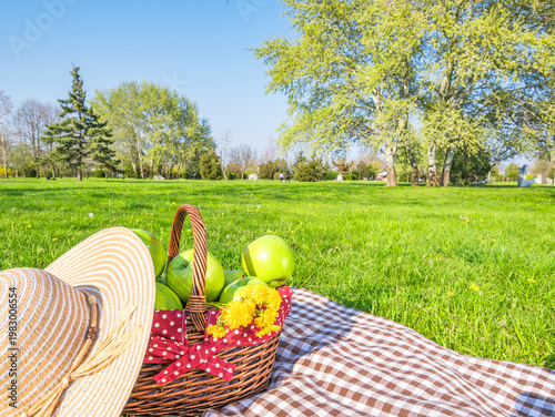 Picnic on green lawn in sunny spring park