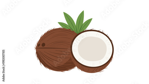 Illustration of a whole brown coconut and a half cut coconut with fresh green palm leaves on a white background.