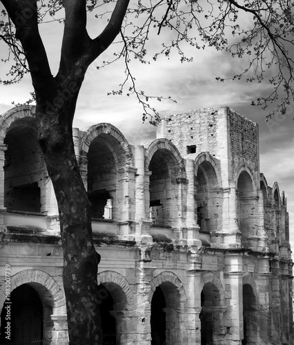  France , Arles , les arènes  et la tour   au printemps , architecture romaine , monument culturel ,patrimoine , ville romaine 