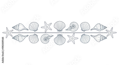 Collection of Seashells and Starfish Border - Hand Drawn Sketch