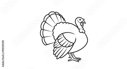 A drawing of a turkey bird.