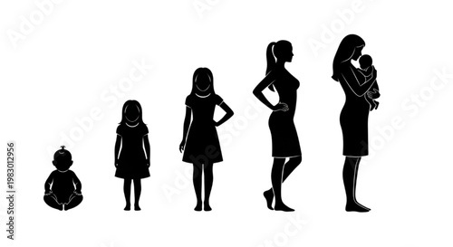 A comprehensive visual representation of a female's life journey, charting the evolutionary stages from infancy and childhood through to adulthood, pregnancy, and the profound experience of motherhood