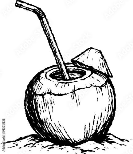 hand drawn vector illustration of coconut drink