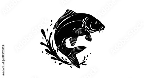 Black and white carp fish jumping out of water with splashes, vector illustration.