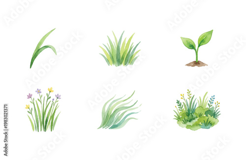 Photos Watercolor grass and botanical garden icons set on white background