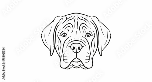 A striking black and white line drawing of a powerful mastiff dog's face
