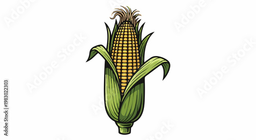 A single ear of yellow corn, bursting with kernels, is fully husked