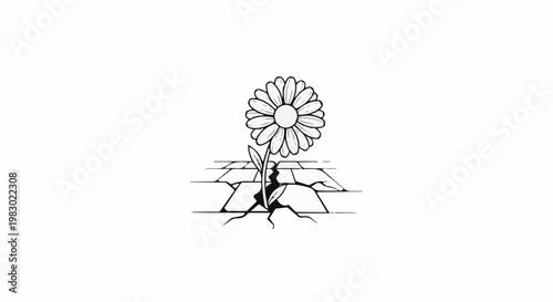 A single flower sprouts through a cracked pavement, symbolizing resilience