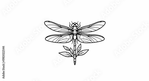 Delicate line drawing of a dragonfly with outstretched wings perched on a plant