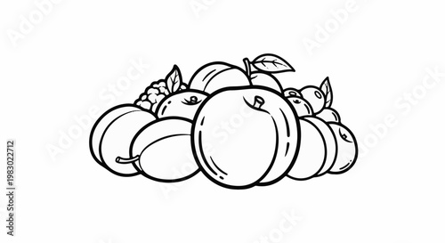 Outline drawing of various ripe fruits including berries, plums, and peaches
